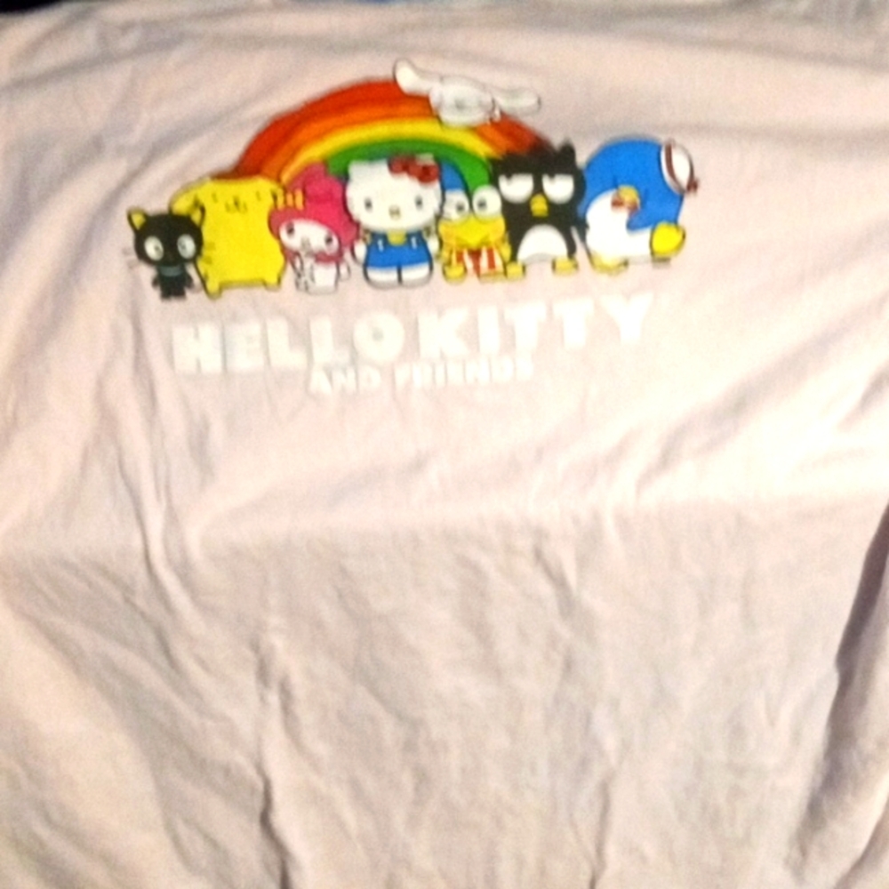Hello Kitty and Friends 3X night shirt